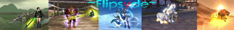 Flipsyde Banner