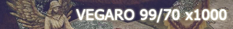 VegaRO Banner