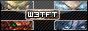 W3TFT Banner